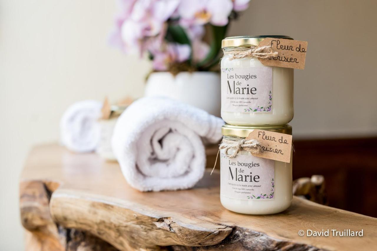 Suite Mana Ohana - Luxe Et Authenticite A 2 Pas De La Place Ducale Avec Parking Prive Charleville-Mézières 外观 照片